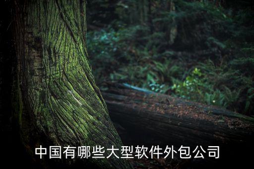 中國有哪些大型軟件外包公司