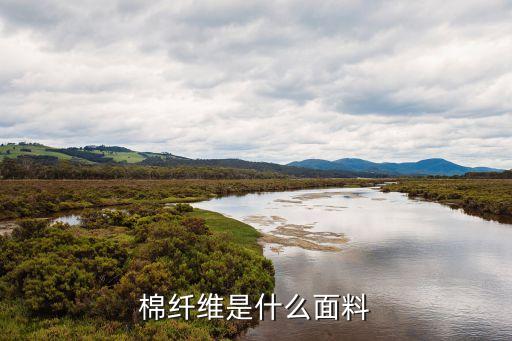 棉纖維是什么面料