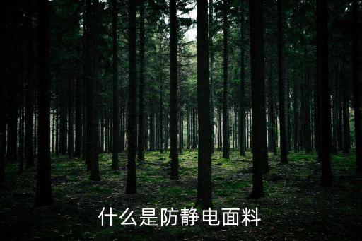 紡織抗靜電標(biāo)準(zhǔn),面料抗靜電測試標(biāo)準(zhǔn)