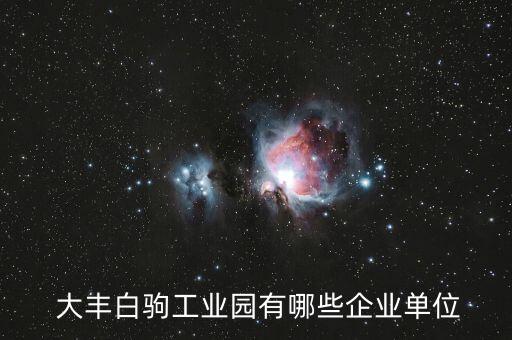  大豐白駒工業(yè)園有哪些企業(yè)單位