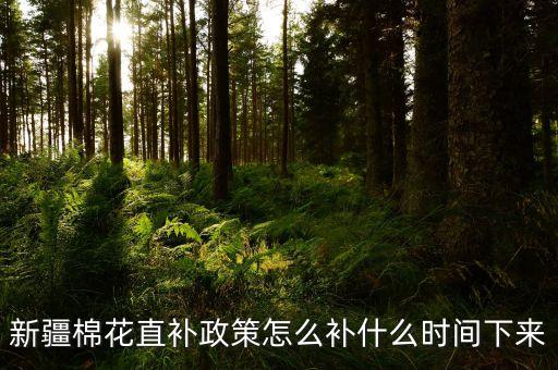烏魯木齊 中國(guó)紡織大會(huì)