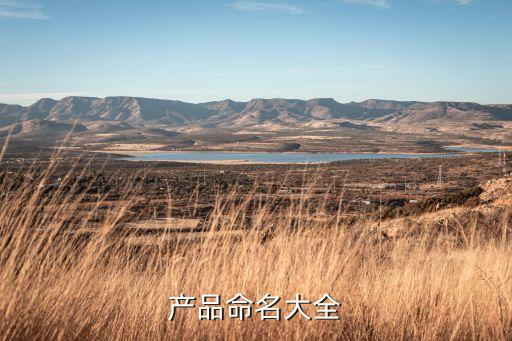 產(chǎn)品命名大全