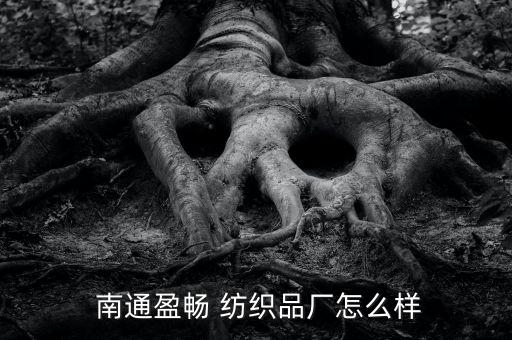 南通誠隆紡織品有限公司