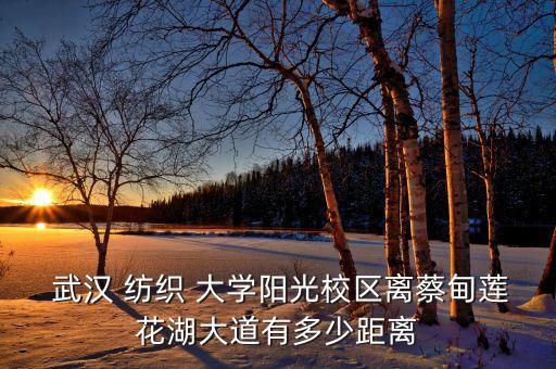  武漢 紡織 大學(xué)陽光校區(qū)離蔡甸蓮花湖大道有多少距離