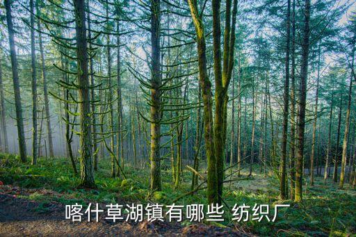 喀什草湖鎮(zhèn)有哪些 紡織廠