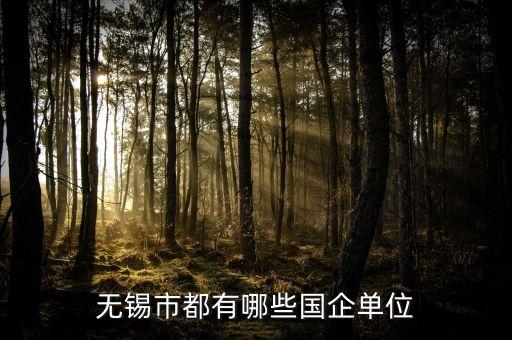 無(wú)錫市都有哪些國(guó)企單位