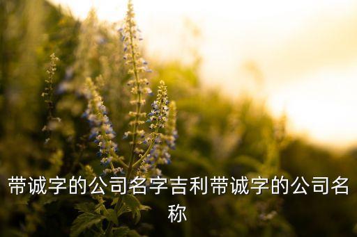 帶誠字的公司名字吉利帶誠字的公司名稱