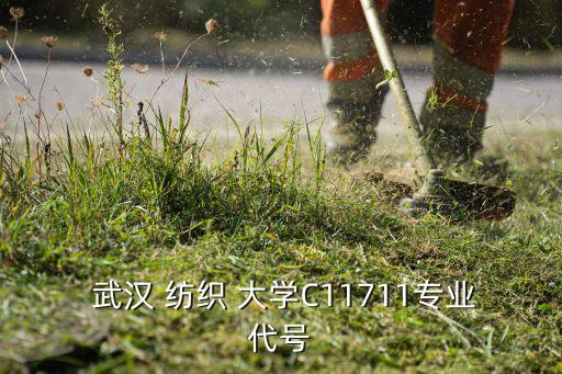 武漢紡織大學(xué)代碼