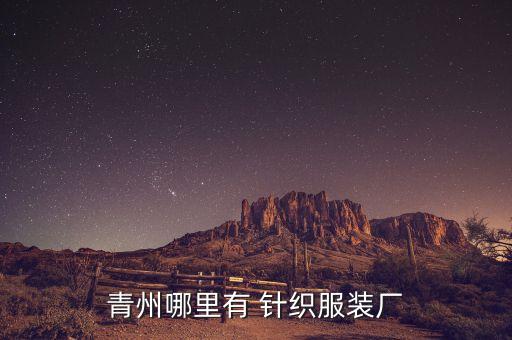 青州哪里有 針織服裝廠