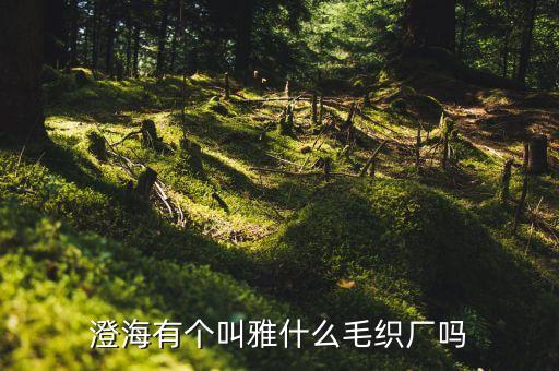 廣州市盛宇紡織洗染有限公司,中山市泰特紡織洗染有限公司