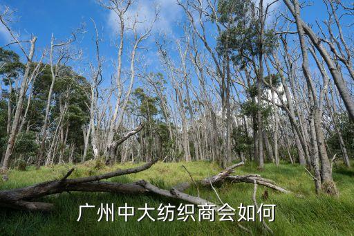 廣州中大紡織商會(huì)如何
