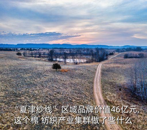 “夏津紗線”區(qū)域品牌價(jià)值46億元,這個(gè)棉 紡織產(chǎn)業(yè)集群做了些什么