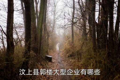 汶上縣郭樓大型企業(yè)有哪些