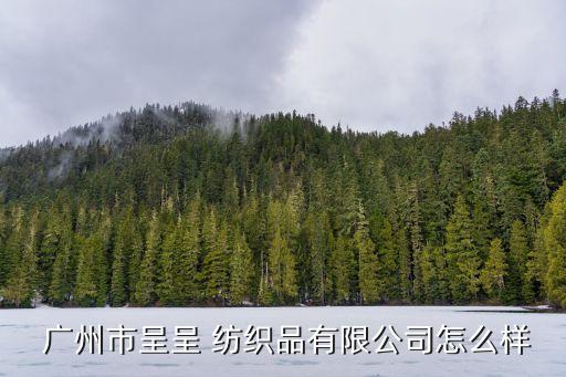  廣州市呈呈 紡織品有限公司怎么樣