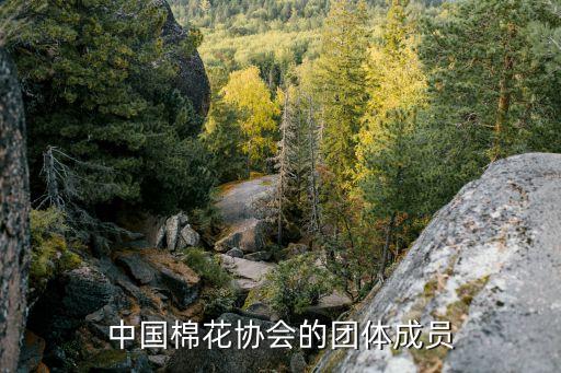 中國(guó)棉花協(xié)會(huì)的團(tuán)體成員