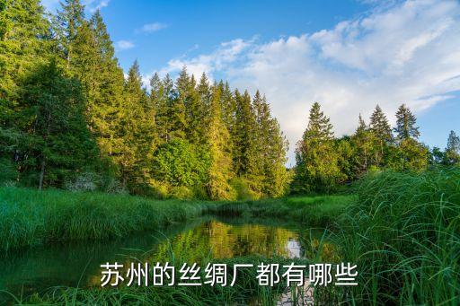 蘇州的絲綢廠都有哪些