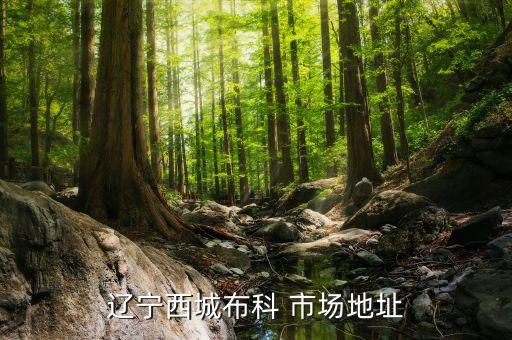 雅加達(dá)紡織品市場(chǎng)