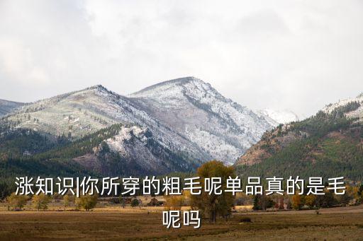 漲知識(shí)|你所穿的粗毛呢單品真的是毛呢嗎