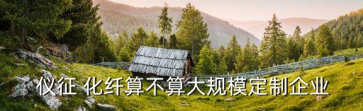  儀征 化纖算不算大規(guī)模定制企業(yè)