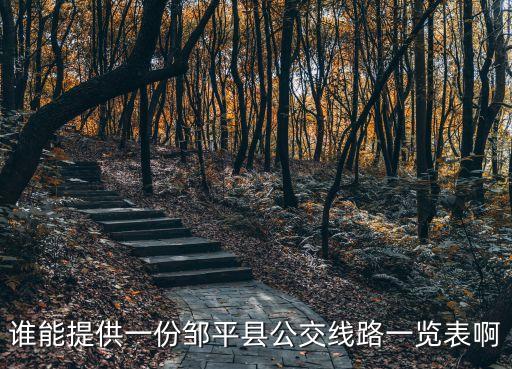誰(shuí)能提供一份鄒平縣公交線路一覽表啊