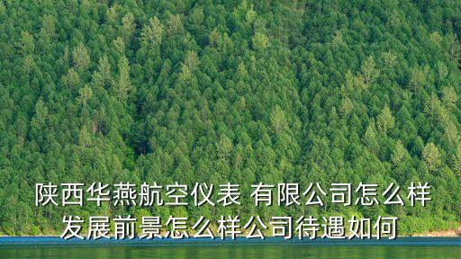  陜西華燕航空儀表 有限公司怎么樣發(fā)展前景怎么樣公司待遇如何