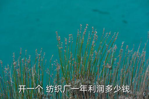 開一個 紡織廠一年利潤多少錢