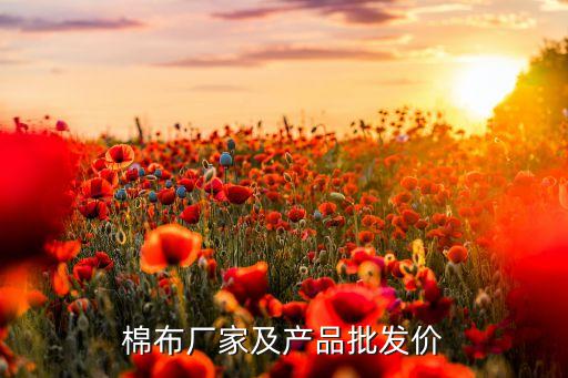 常州大純紡織品有限公司,常州海格超細(xì)紡織品有限公司怎么樣