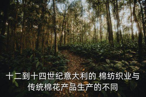 棉紡織技術(shù),黃道婆學(xué)會了什么族人民的棉紡織技術(shù)