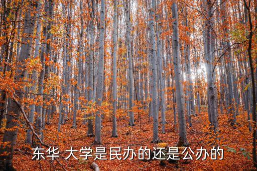 東華 大學(xué)是民辦的還是公辦的