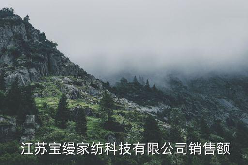  江蘇寶縵家紡科技有限公司銷售額