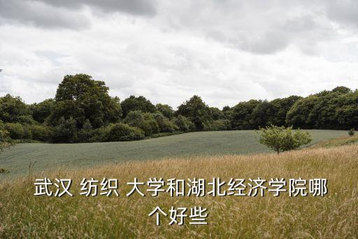  武漢 紡織 大學(xué)和湖北經(jīng)濟(jì)學(xué)院哪個(gè)好些