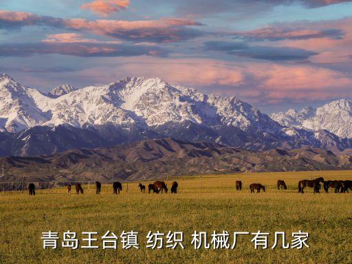 青島王臺鎮(zhèn) 紡織 機械廠有幾家