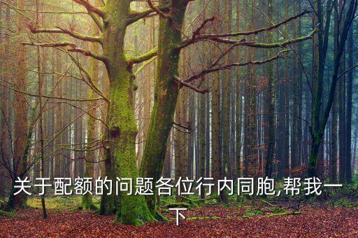 關(guān)于配額的問題各位行內(nèi)同胞,幫我一下