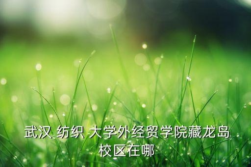  武漢 紡織 大學(xué)外經(jīng)貿(mào)學(xué)院藏龍島 校區(qū)在哪