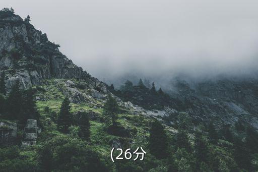 (26分