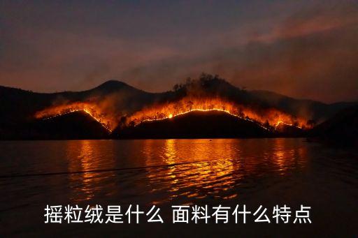 搖粒絨是什么 面料有什么特點(diǎn)