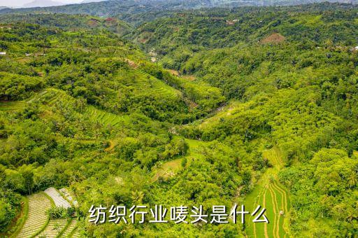 紡織廠倍捻機(jī)