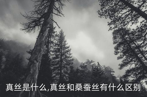 仿真絲面料布料 印花,印花布料是什么面料