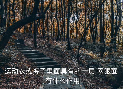 運動衣或褲子里面具有的一層 網(wǎng)眼面,有什么作用