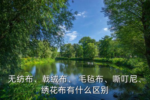 無紡布、戟絨布、 毛氈布、嘶叮尼、繡花布有什么區(qū)別