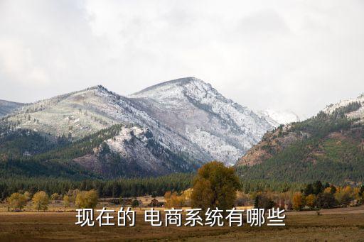 紡織行業(yè)電商平臺