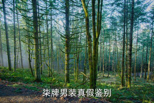 柒牌男裝真假鑒別