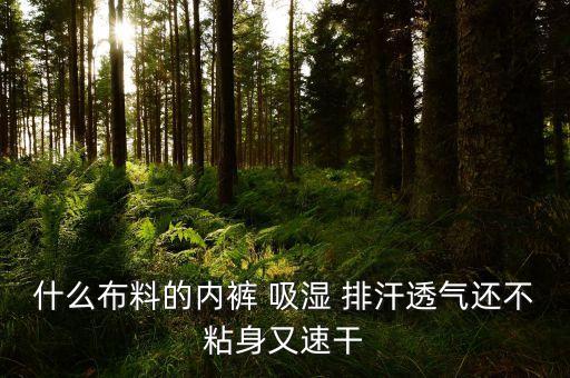 什么布料的內(nèi)褲 吸濕 排汗透氣還不粘身又速干