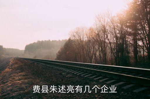 費縣朱述亮有幾個企業(yè)