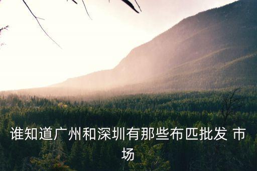 誰知道廣州和深圳有那些布匹批發(fā) 市場