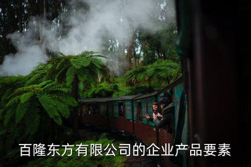百隆東方有限公司的企業(yè)產(chǎn)品要素