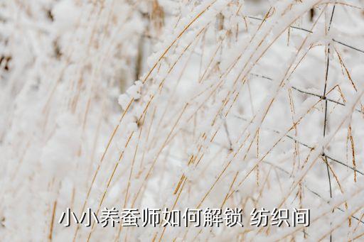 小小紡織,小小巨人紡織
