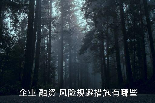 紡織企業(yè)融資方式風(fēng)險(xiǎn),企業(yè)融資風(fēng)險(xiǎn)及其防范措施
