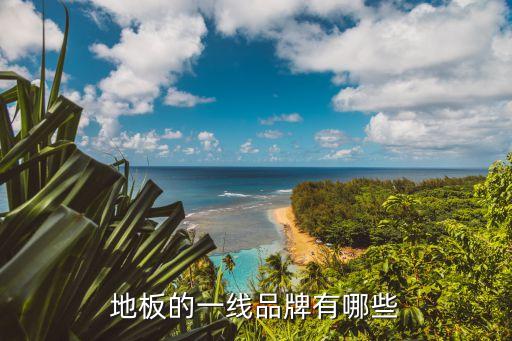 地板的一線品牌有哪些