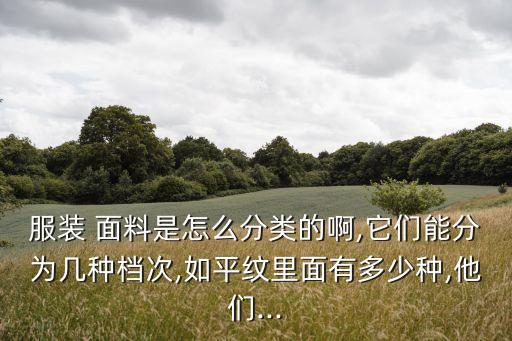 中國棉布面料出口